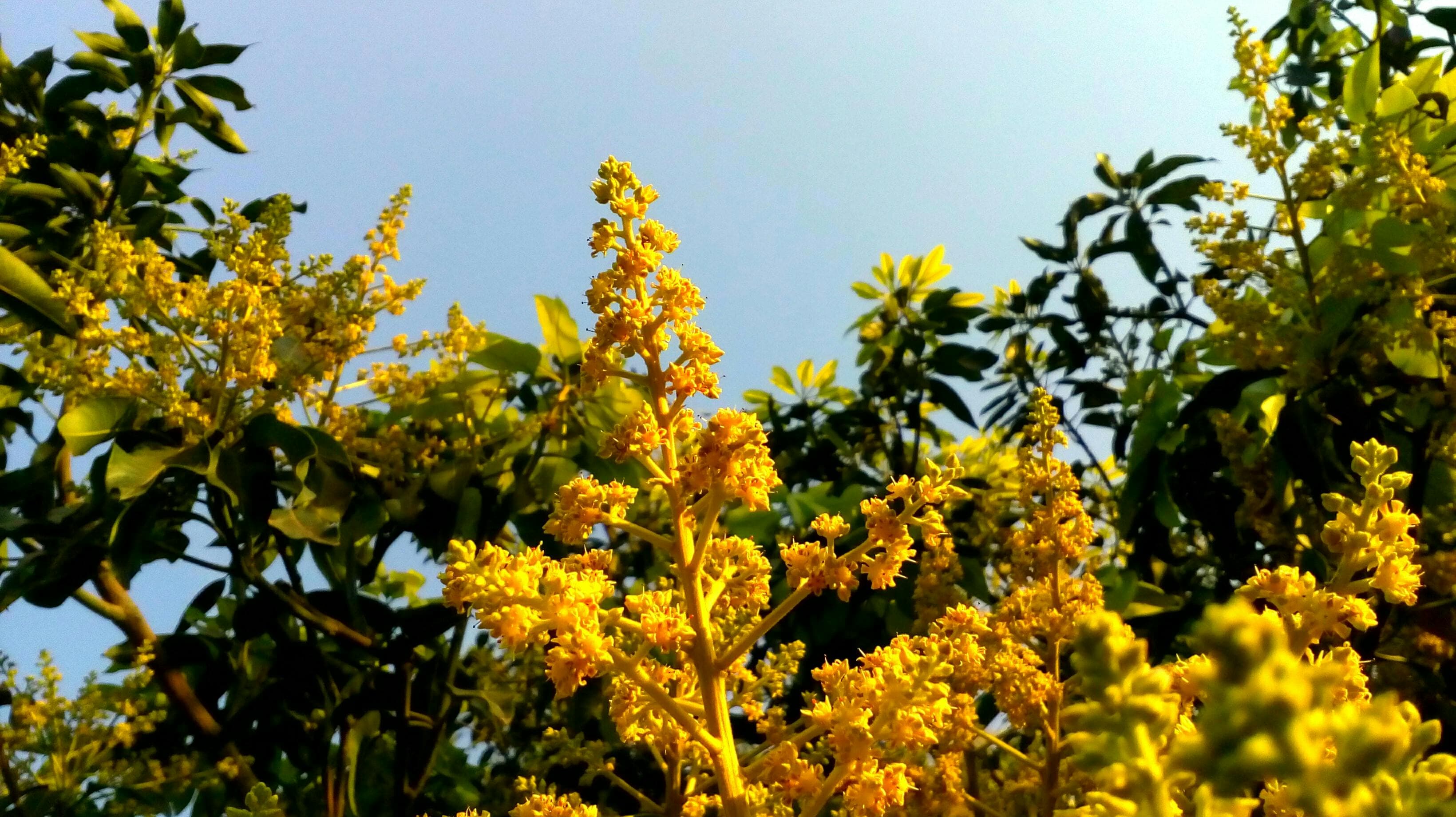 Healthy Mexican dishes with fresh vegetables, grilled proteins, and traditional spices arranged beautifully for GLP-1 users