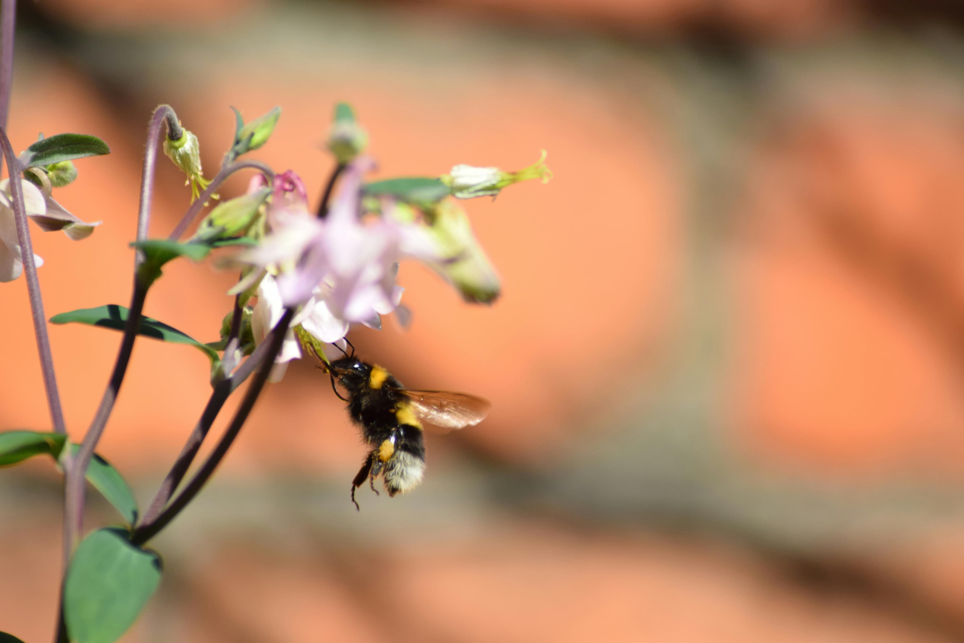 Happy Latino family enjoying healthy Mexican meal together around dining table